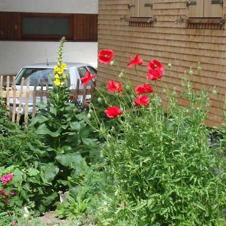 Vila Ferienbauernhof Beer Schoppernau Exteriér fotografie