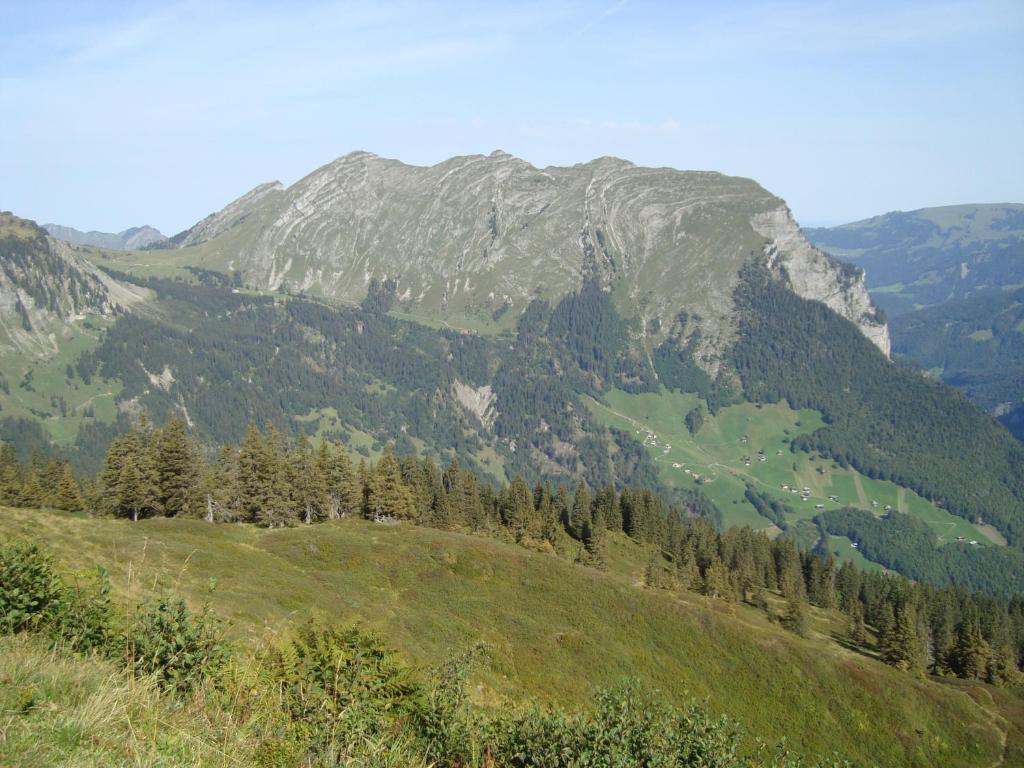Vila Ferienbauernhof Beer Schoppernau Exteriér fotografie